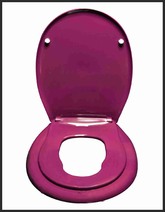 Сиденье д/унитаза жесткое ОКЕАН LUX с детской накладкой фиолетовое