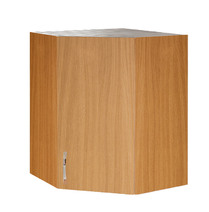 Шкаф угловой 60*60 цвет БУК SANTREK HOME (ЛДСП)