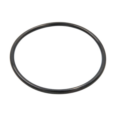 Уплотнительное кольцо для корпусов магистральных фильтров BigBlue (силикон)