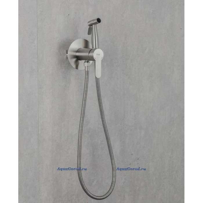 72801 Встроенный Гигиенический душ Frap  (сатин)