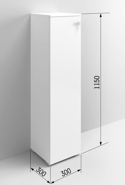Высокий шкаф туалетный ВШТ SANTREK HOME "Виола" белый правый 300*1150*300