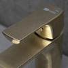 LM7206BG Ursus Смеситель для умывальника монолитный, матовое золото LEMARK