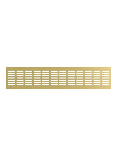 Решетка вентиляционная ERA 4810DP Al Champagne сетка переточная 480х100 ШАМПАНЬ