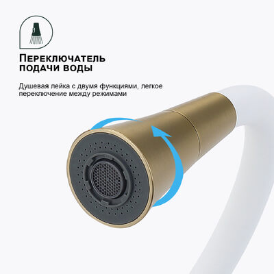 S201.4308.03 Смеситель для кухни SPLENKA (сатин золотой)