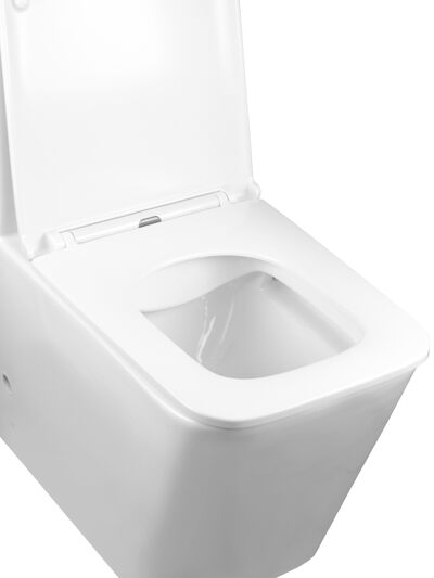 Унитаз-моноблок безободковый HOLLER FORT (665*345*805мм, сиденье дюропласт с микролифтом, арматура 2-х режимная)  (1 место) белый Унитаз-моноблок безободковый HOLLER FORT (665*345*805мм, сиденье дюропласт с микролифтом, арматура 2-х режимная)  (1 место) белый