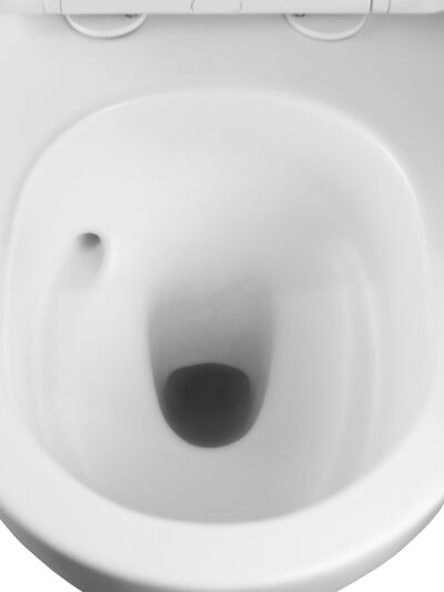 Унитаз подвесной безободковый (Торнадо) HOLLER FLOW MW (530*360*350мм, сиденье дюропласт, микролифт) белый матовый